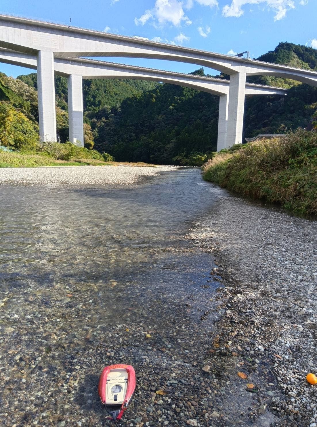 和田島小学校裏の釣果