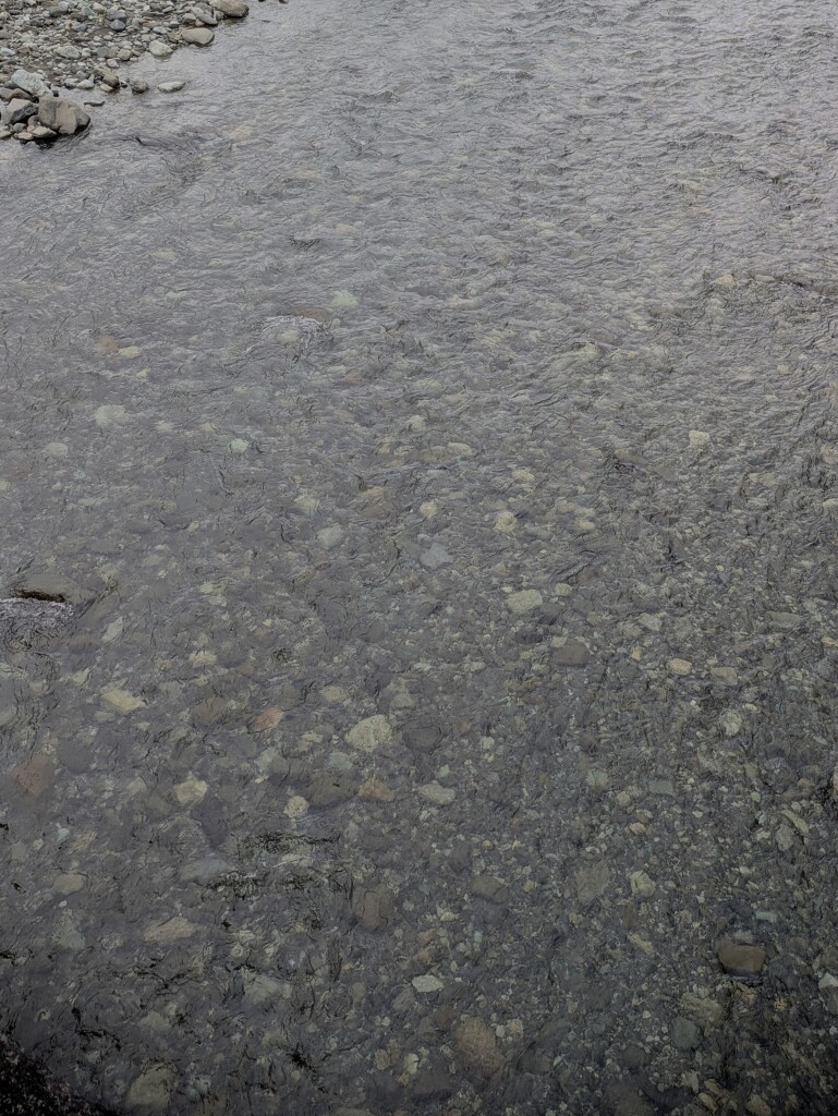 茂野島橋上の川相